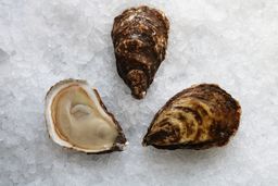 Thunder Cove Oysters