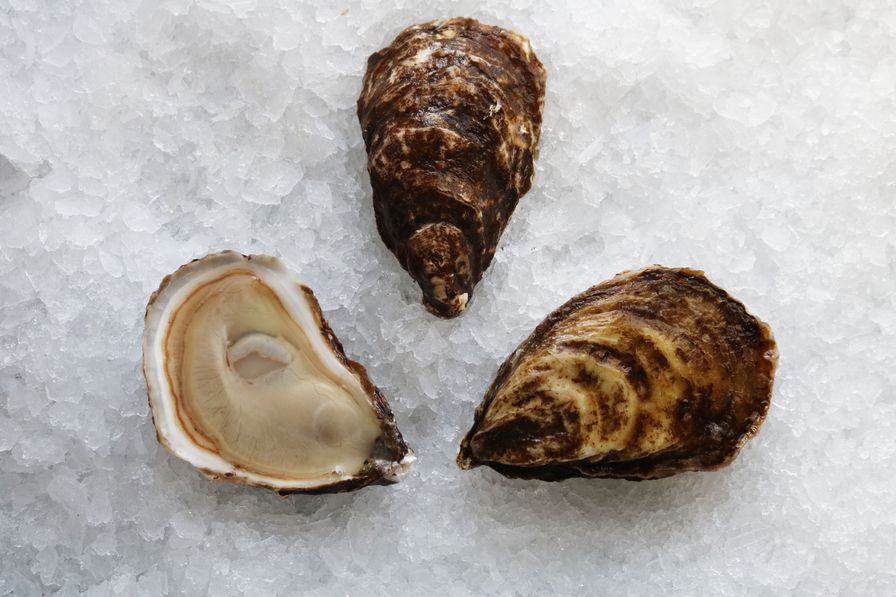 Thunder Cove Oysters