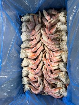 CRAB DUNGENESS Sections (25 lb cs) Soldier Pack Washington Oceanwise Frozen