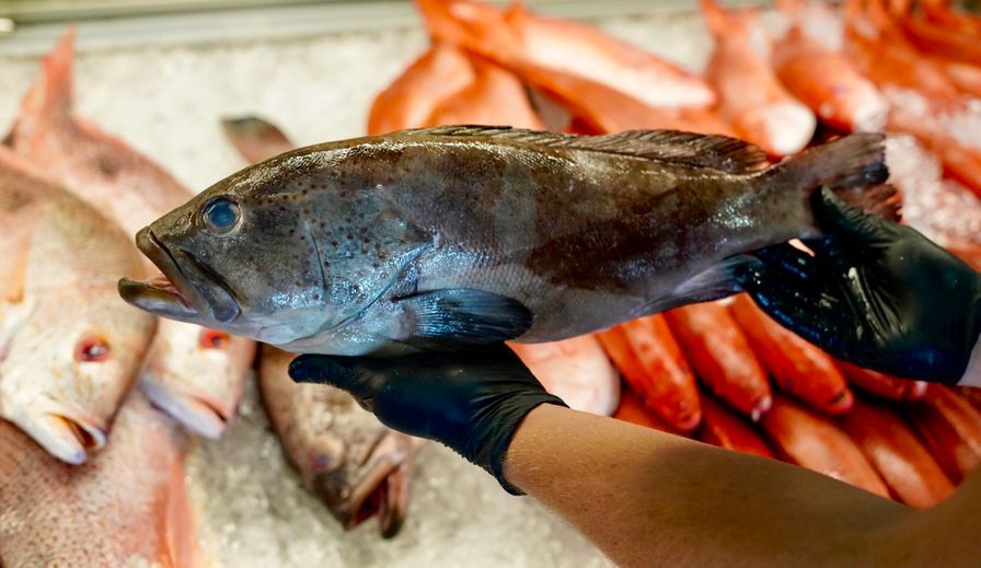 Grouper