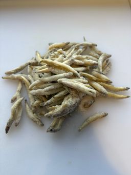 SMELTS Canadian Round Medium Freshwater (5kg) IQF Frozen (pre order)