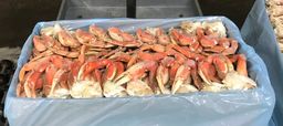 CRAB DUNGENESS Sections (25 lb cs) Soldier Pack Washington Oceanwise Frozen