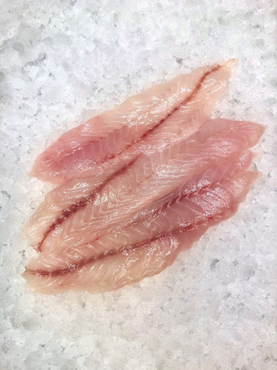 Wild Fresh Rockfish (Pacific Snapper) 