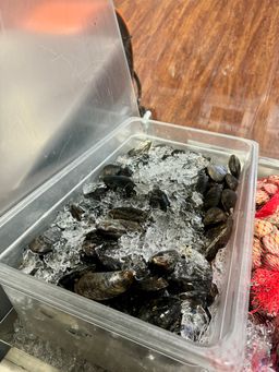 Mussels