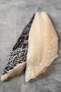 Black Seabass Fillet