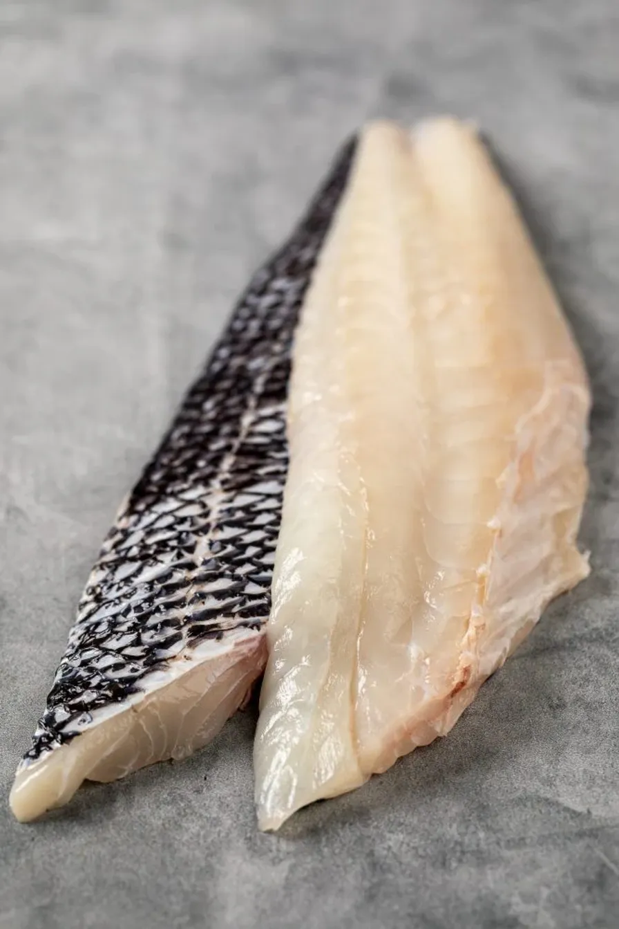 Black Seabass Fillet