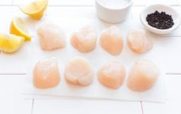 Frozen Wild Dry Sea Scallops-Large