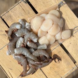 Shrimp & Scallops Bundle