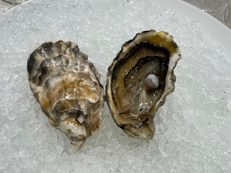 Oysters Fanny Bay