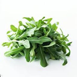 Baby Arugula
