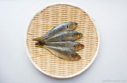 Kohada - Gizzard Shad