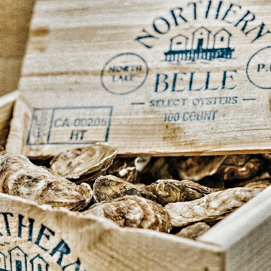 Live Oysters - NORTHERN BELLE - By the Piece