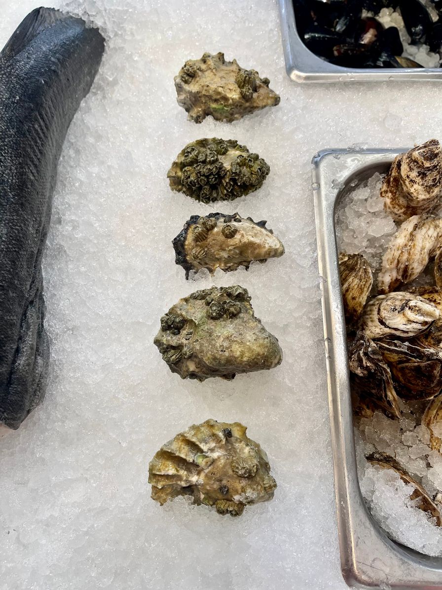 Royal Miyagi Oysters 