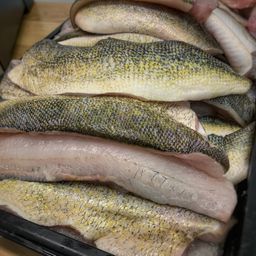 Lake Erie Wild Pickerel Fillets - FRESH