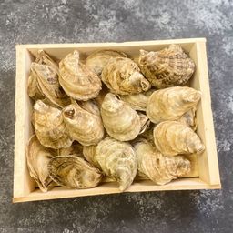Oysters - East Coast Medium (100 Pcs) Case