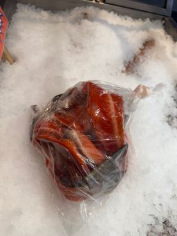 Salmon Bones