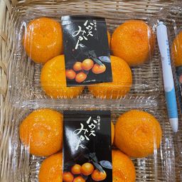 Mandarin - Karatsu Mikan (≈500 gm) 