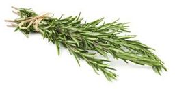 Rosemary