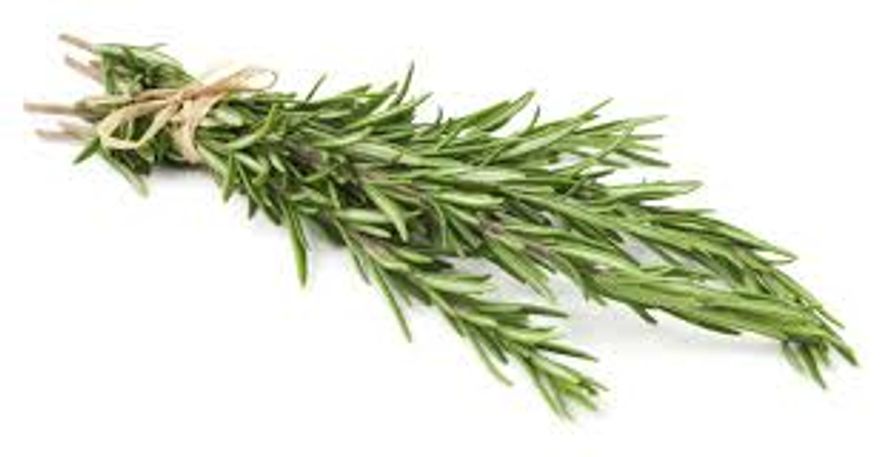Rosemary