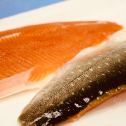 Arctic Char - 8OZ Portions - FROZEN