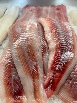 Wild and Fresh BC Lingcod 