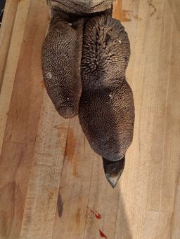 Ostrich whole foot 