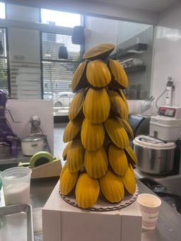 Madeleine Tower