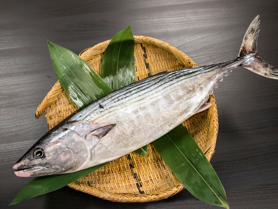 HA-GATSUO JAPAN