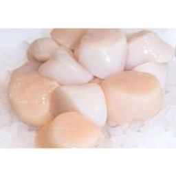 U15 Dry Packed Scallops