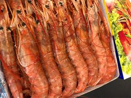 Akaebi – Langostino