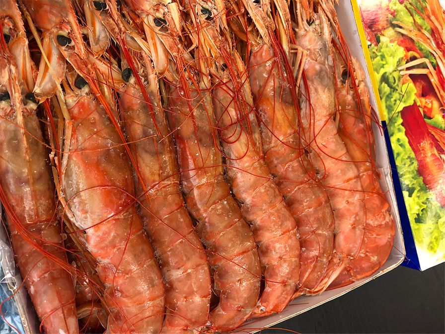 Akaebi – Langostino