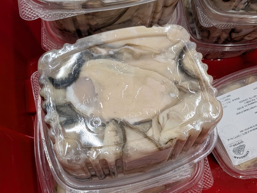 Shucked Effingham Oyster Meat