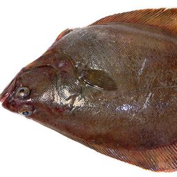 West Coast Petrale Sole (Whole, 1.5 lb. avg.)