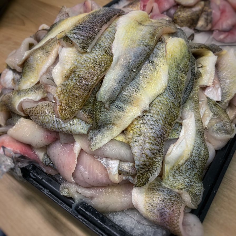 Yellow Perch Wild Fillets - FRESH