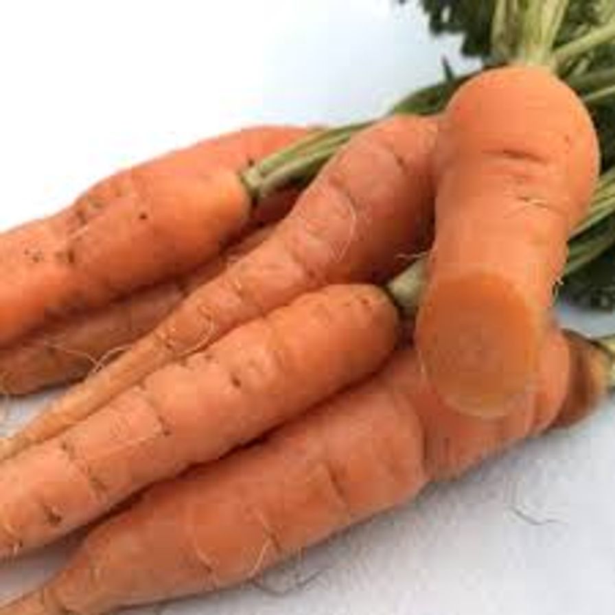 Carrot, Nantes Bunch