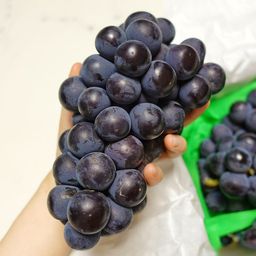 Grape - Premium Pione (≈700 gm)