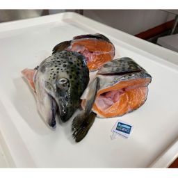 Salmon - Organic Heads (Pack of 2)