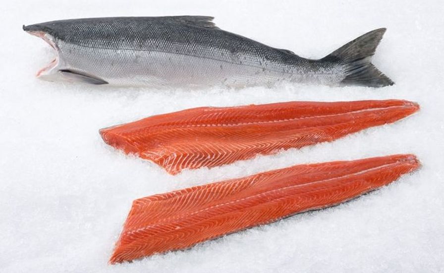Salmon - Wild Copper River Sockeye Whole H/G