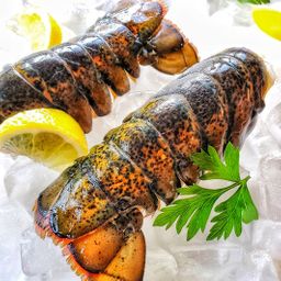 Atlantic Lobster Tails Hardshell - 12-14 Oz - FROZEN - 10LB MASTER CASE