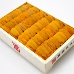 Sea Urchin Roe (Uni) - Fresh Japanese Bafun Narabi 250 gm