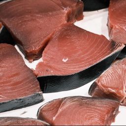 Tuna Steak