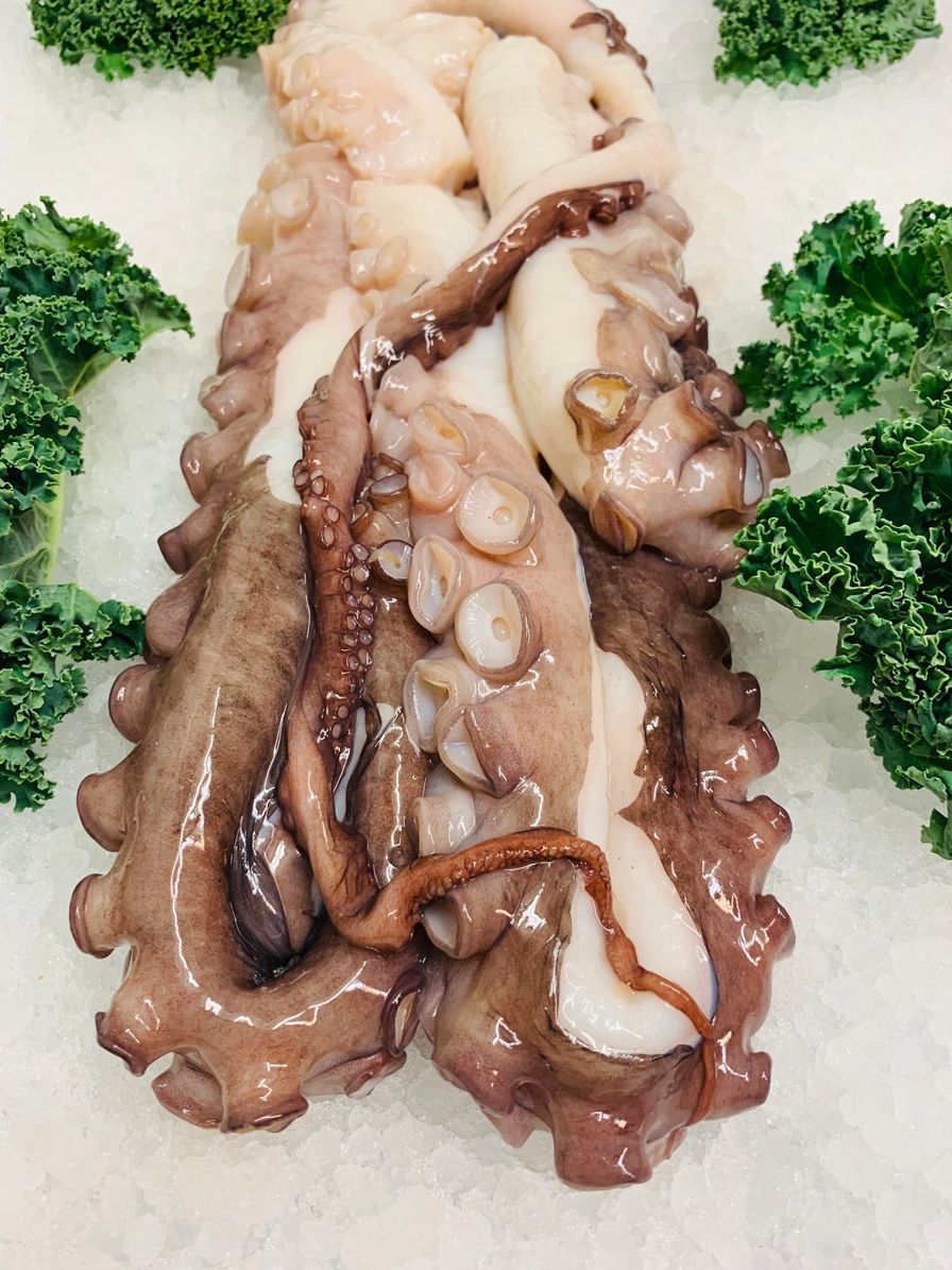 Frozen BC Octopus Tentacles 