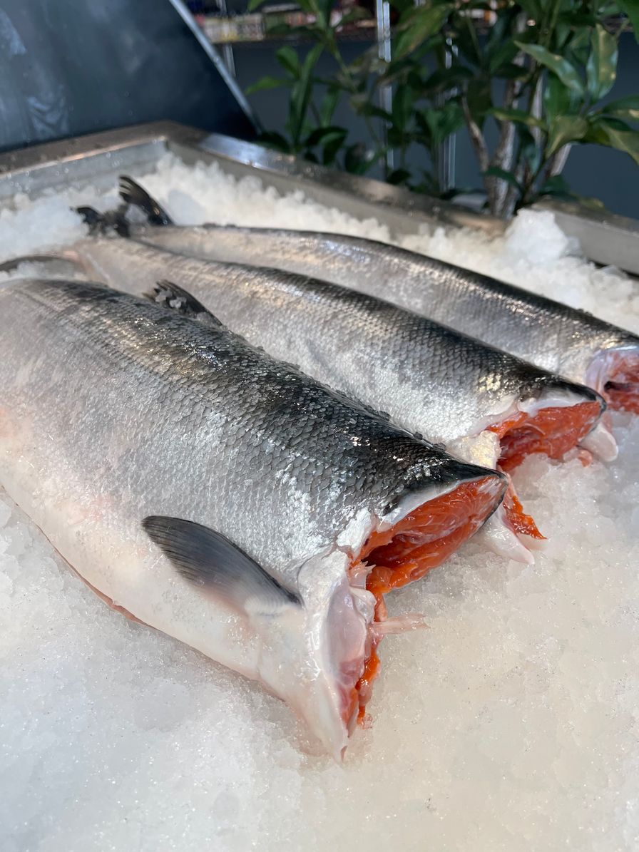 Whole Wild Sockeye Salmon (head off and gutted)