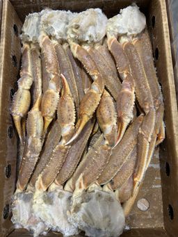 Crab Snow Clusters Baidai