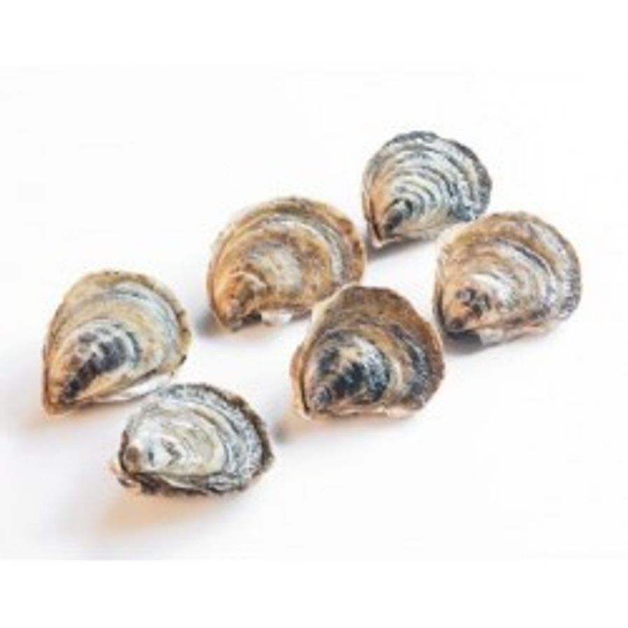 Oysters - Malpeque (6 pcs)