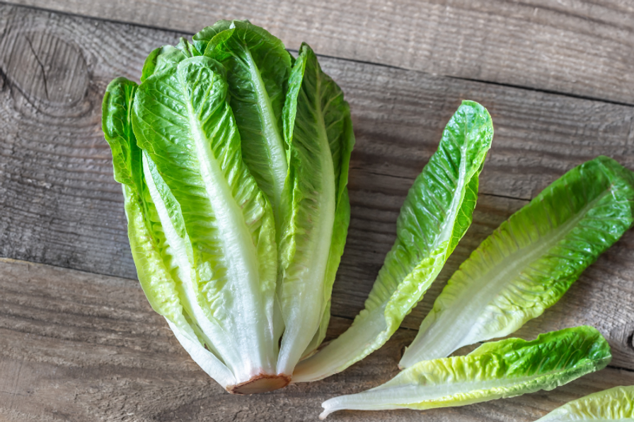 Romaine 