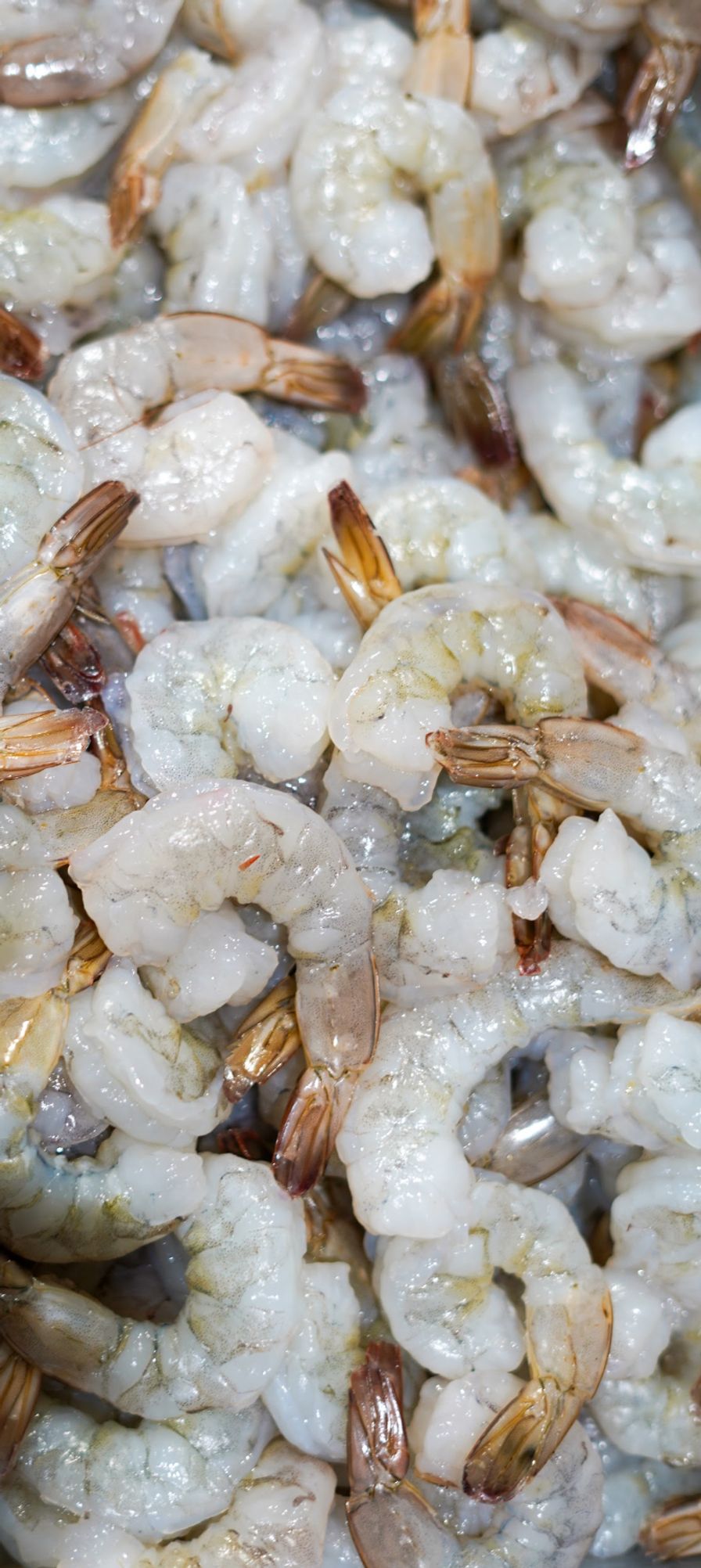 Peeled and Deveined Shrimp 