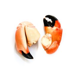 Crab - Fresh Florida Stone Claw (1 lb)