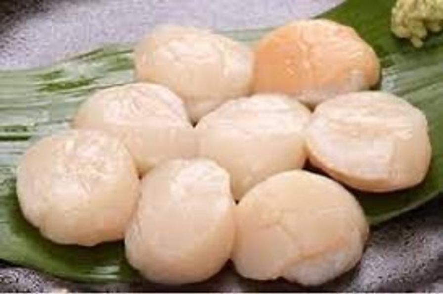 Fresh Dry Hokkaido Scallops-Large