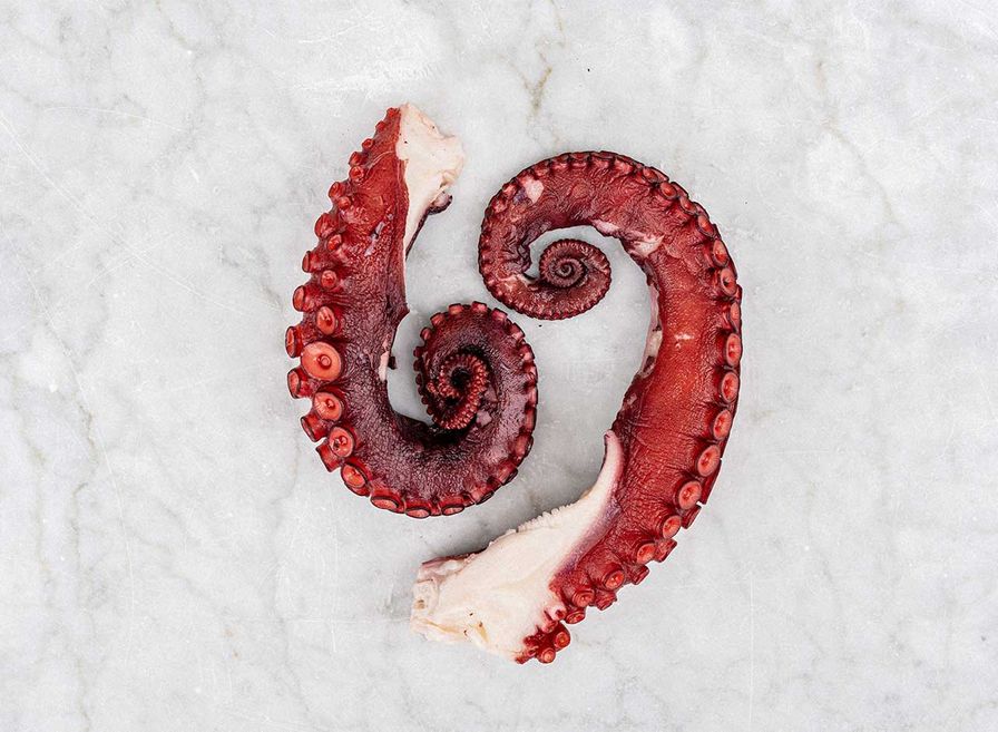 Octopus - Moroccan T5 LEGS (2lbs) 